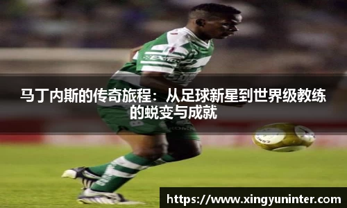 芒果体育登录注册