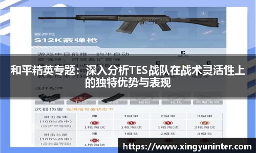 和平精英专题：深入分析TES战队在战术灵活性上的独特优势与表现