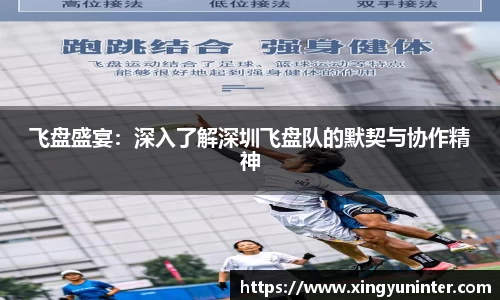 飞盘盛宴：深入了解深圳飞盘队的默契与协作精神